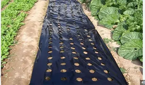 Agricultural film
